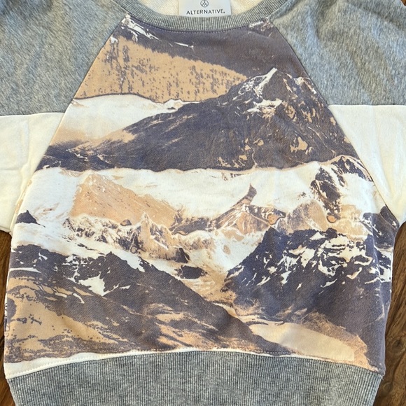 Alternative Apparel Sweatshirt Size XS - Picture 6 of 11